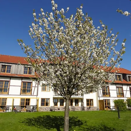 Robinson Fleesensee 度假村